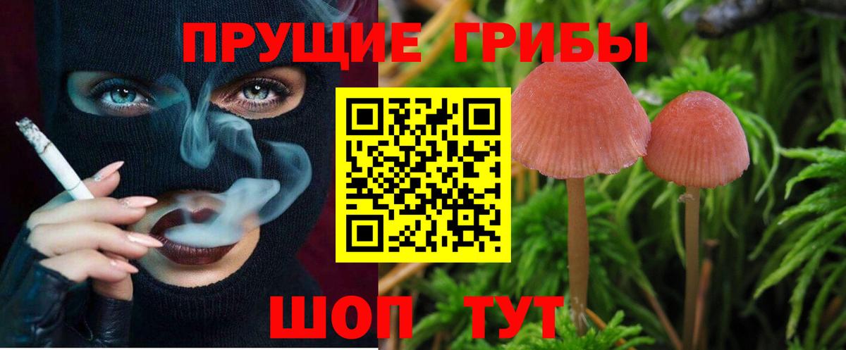 Галлюциногенные грибы MAGIC MUSHROOMS Балтийск